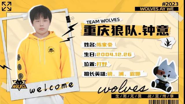 Vitality 战胜 Wildcard 进入 BLAST Rivals 2025 春季季后赛